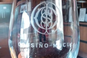 Santiago: Premium provsmakning på vingården Cousiño Macul