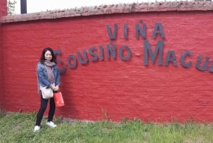 Santiago: Premium provsmakning på vingården Cousiño Macul