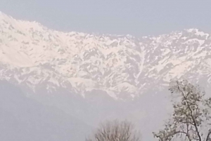 Santiago: Premium provsmakning på vingården Cousiño Macul