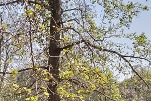 Santiago: Premium provsmakning på vingården Cousiño Macul