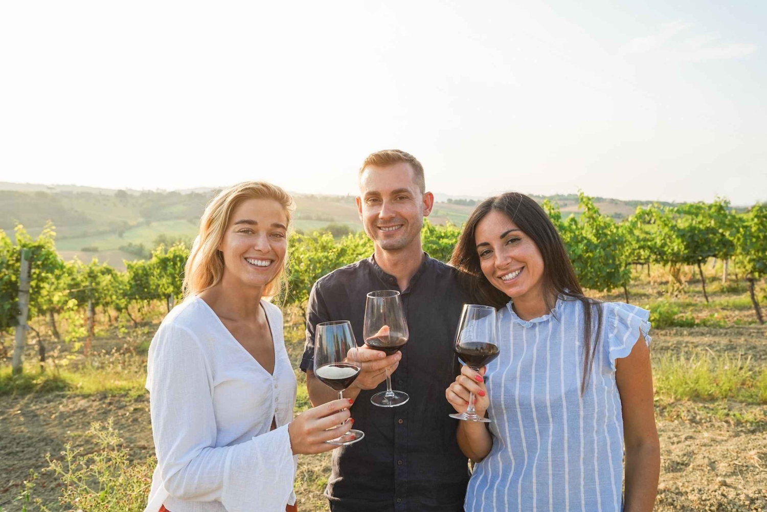 Santiago: Rundtur på vingården Cousiño Macul med 6 vinprovningar