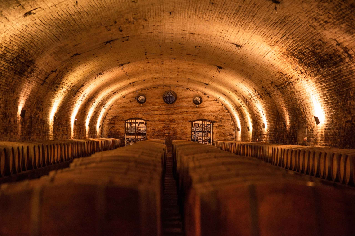 Santiago: Rundtur på vingården Cousiño Macul med 6 vinprovningar