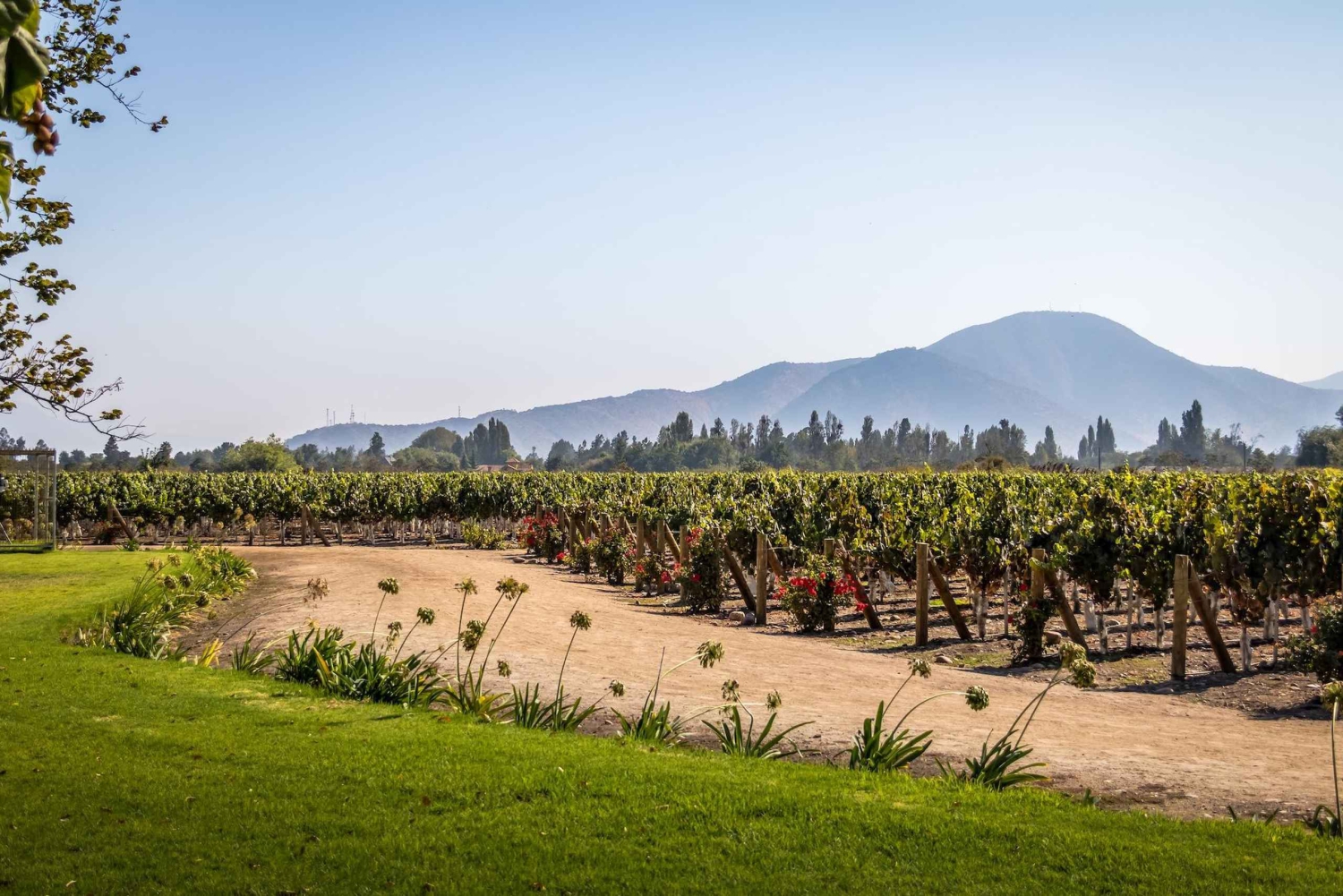 Santiago: Rundtur på vingården Cousiño Macul med 6 vinprovningar