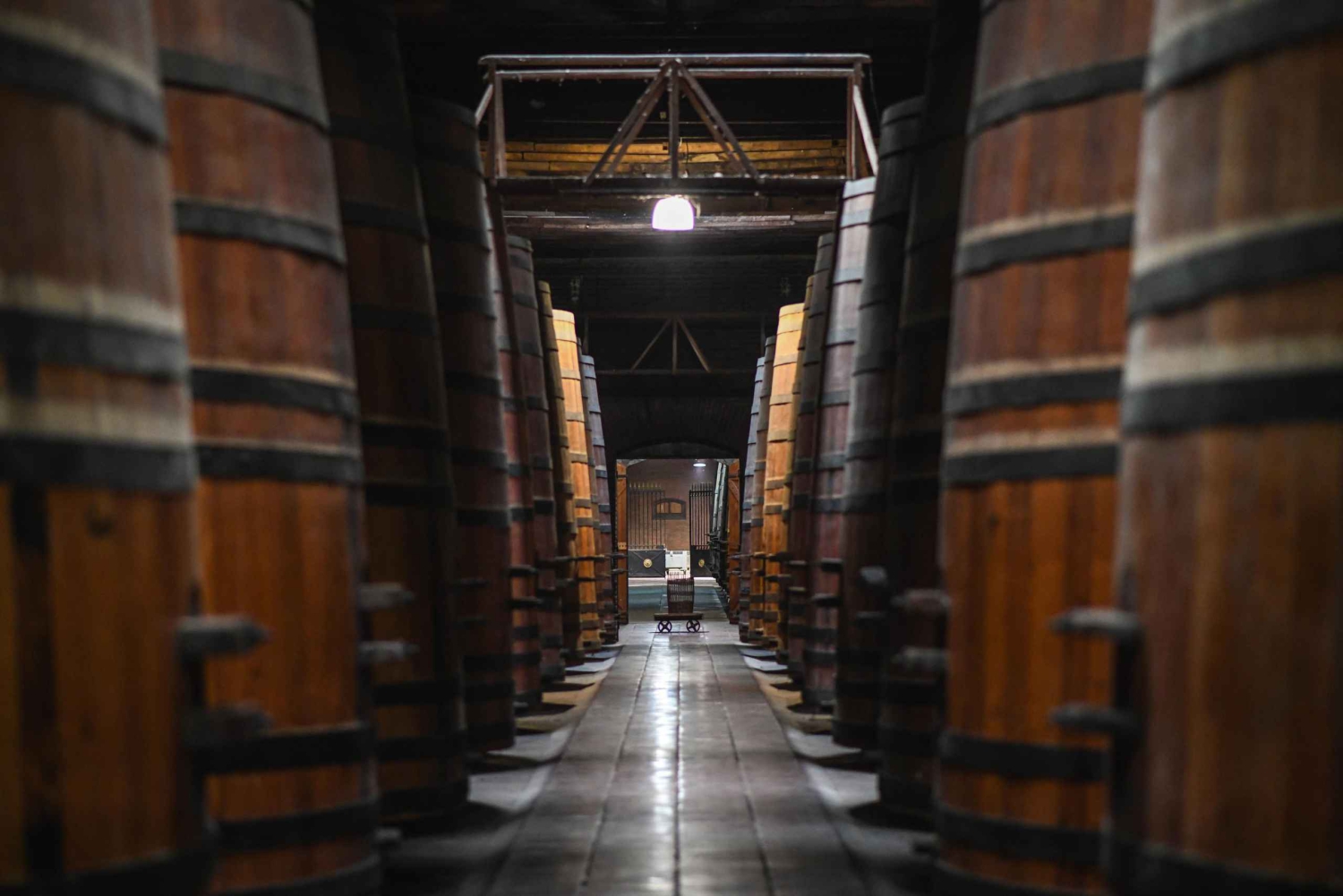 Santiago: Rundtur på vingården Cousiño Macul med 6 vinprovningar