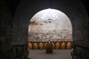 Santiago: Cousiño Macul Weingut-Tour mit 6 Weinproben