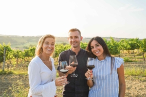 Santiago: Rundtur på vingården Cousiño Macul med 6 vinprovningar