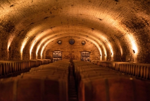 Santiago: Rundtur på vingården Cousiño Macul med 6 vinprovningar