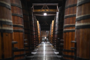 Santiago: Rundtur på vingården Cousiño Macul med 6 vinprovningar