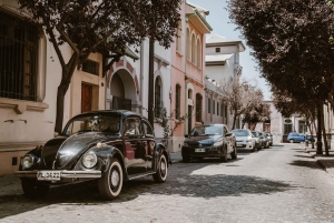 Santiago de Chile: 100% private photo tour, full day