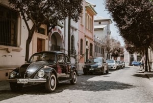 Santiago du Chili : Excursion photo 100 % privée, journée complète