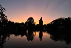 Santiago del Cile: come un locale; storia, panorami, arte e cibo.