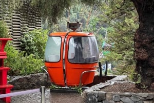 Santiago del Cile: come un locale; storia, panorami, arte e cibo.