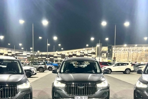 Santiago de Chile: yksityinen kuljetus San Antonioon / satamaan