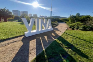 Santiago de Chile: yksityinen kuljetus San Antonioon / satamaan