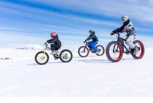 Santiago: Snødagstur til El Colorado skisenter