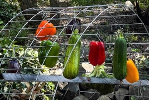 Santiago, Embalse del Yeso com churrasco