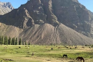 Santiago: Embalse El Yeso med picnic og chilensk kultur