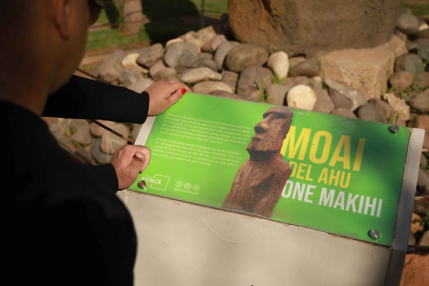 Сантьяго: Экскурсия на целый день в Винья-дель-Мар и Вальпараисо