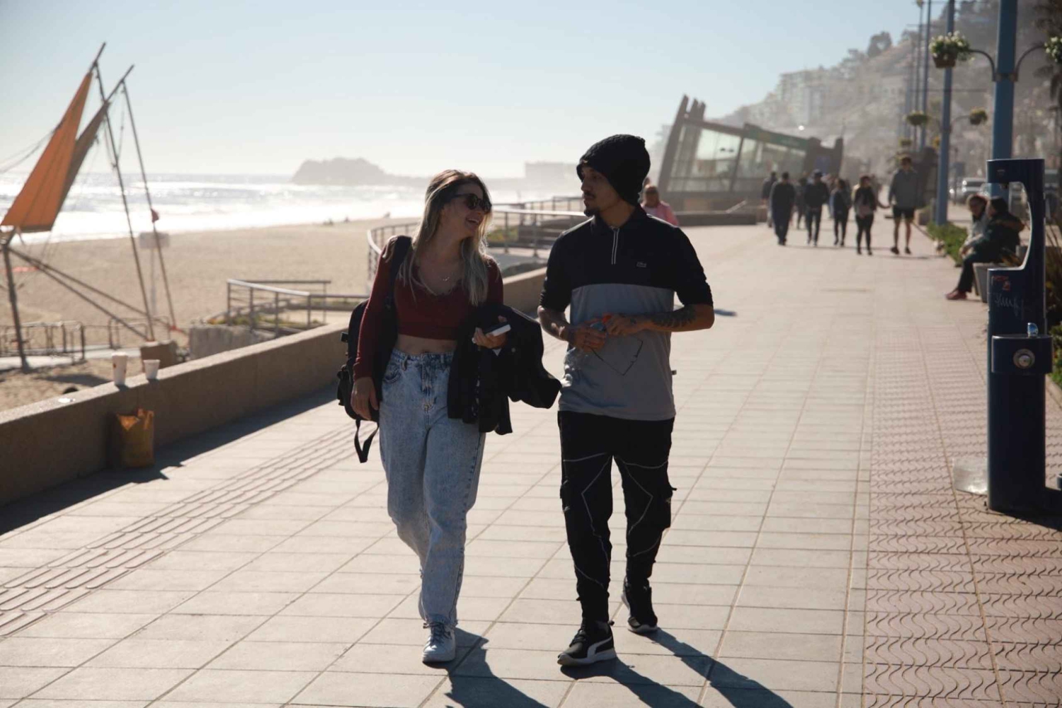 Сантьяго: Экскурсия на целый день в Винья-дель-Мар и Вальпараисо