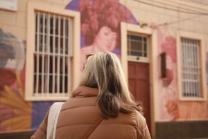 Santiago : excursion d'une journée à Viña del Mar et Valparaíso