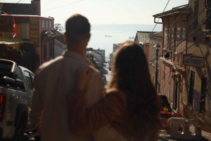 Сантьяго: Экскурсия на целый день в Винья-дель-Мар и Вальпараисо