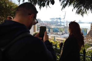 Сантьяго: Экскурсия на целый день в Винья-дель-Мар и Вальпараисо