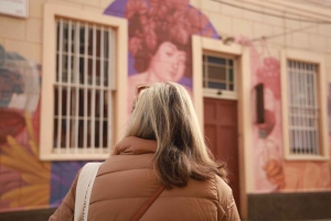 Сантьяго: Экскурсия на целый день в Винья-дель-Мар и Вальпараисо