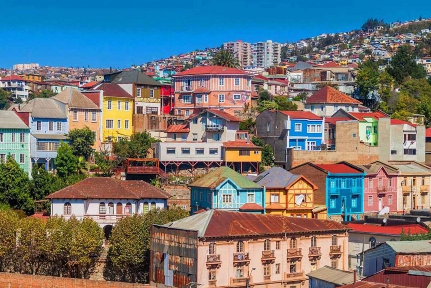 Santiago: Full Day Trip Valparaiso and Vina del Mar