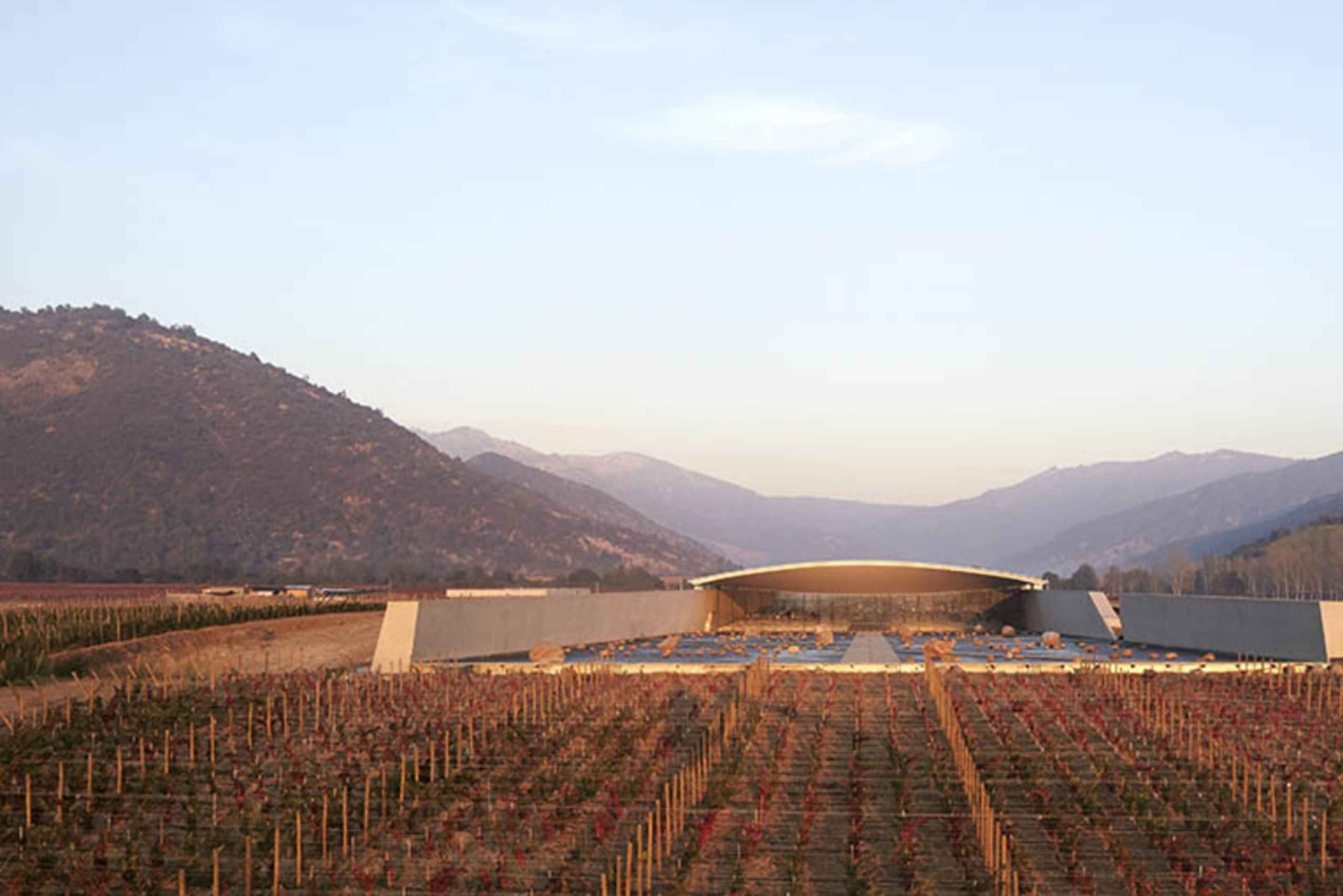 Santiago: Guidet VIK-vingårdstur med smaking og hotellhenting