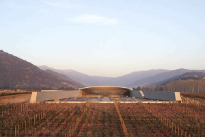 Santiago: Guided VIK Winery Tour with Tasting & Hotel Pickup