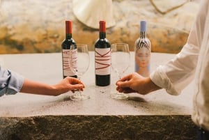 Santiago: Guidet VIK-vingårdstur med smaking og hotellhenting