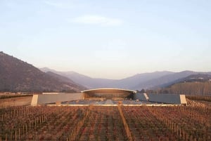 Santiago: begeleide VIK-wijnmakerijtour met proeverij en hotelovername