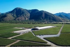 Santiago: Guided VIK Winery Tour with Tasting & Hotel Pickup