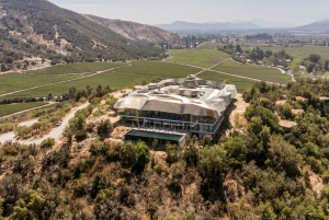 Santiago: Guidet VIK-vingårdstur med smaking og hotellhenting