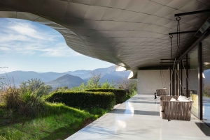 Santiago: Guidet VIK-vingårdstur med smaking og hotellhenting