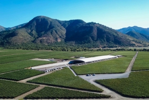 Santiago: Guidet VIK-vingårdstur med smaking og hotellhenting