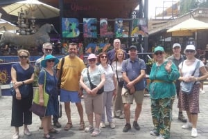 Santiago: Guided Walking Tour of the Historical Old Town