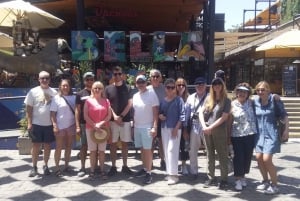 Santiago: Guided Walking Tour of the Historical Old Town