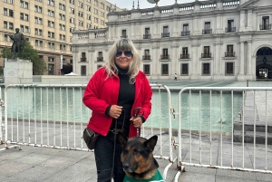 Santiago : Visite guidée à pied dans le centre historique