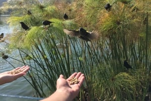 Santiago: Guidad halvdagsutflykt med buss och lokalt mellanmål