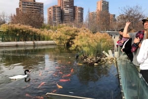 Santiago: Half-Day Guided Coach Tour and Local Snack