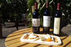 Santiago: Halvdags Santa Rita vingårdstur
