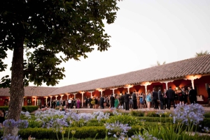 Santiago: Halvdagstur til Santa Rita vingård