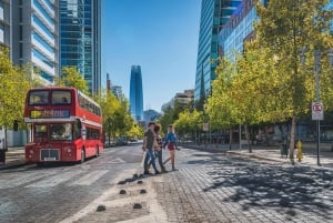 Santiago: Hop-on Hop-off Bus Tagesticket mit Audio Guide