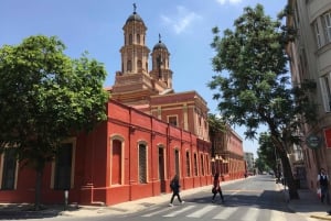 Santiago: Hop-on Hop-off Bus Day Ticket with Audio Guide