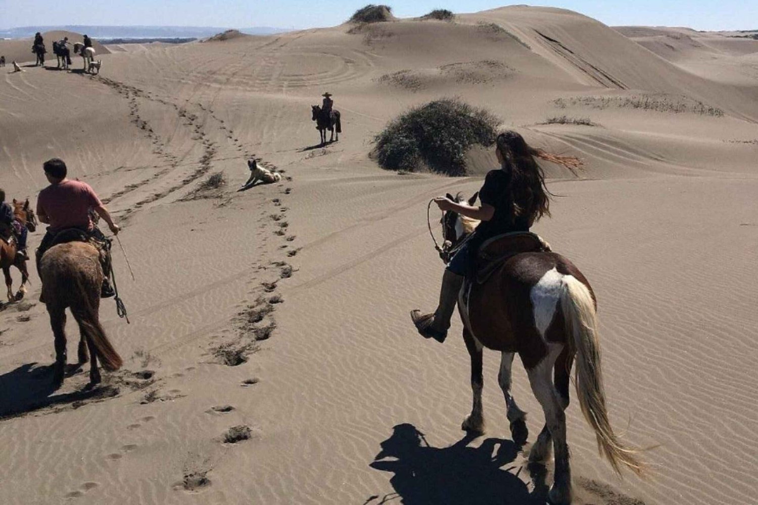 Santiago : balade à cheval, dunes de sable avec transfert et barbecue en option