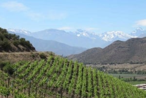 Santiago: Inca Lagoon and Vineyard Visit with Wine Tasting