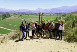 Santiago: Inca Lagoon and Vineyard Visit with Wine Tasting