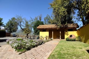 Santiago: Inca Lagoon and Vineyard Visit with Wine Tasting