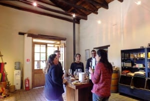 Santiago: Inca Lagoon and Vineyard Visit with Wine Tasting